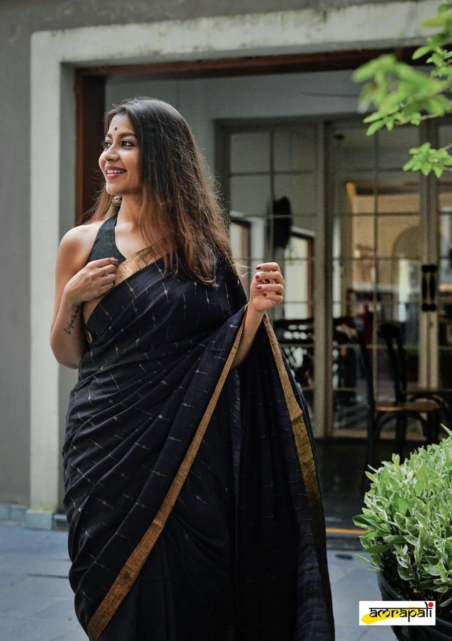 Midnight Grace Pinstripe Saree