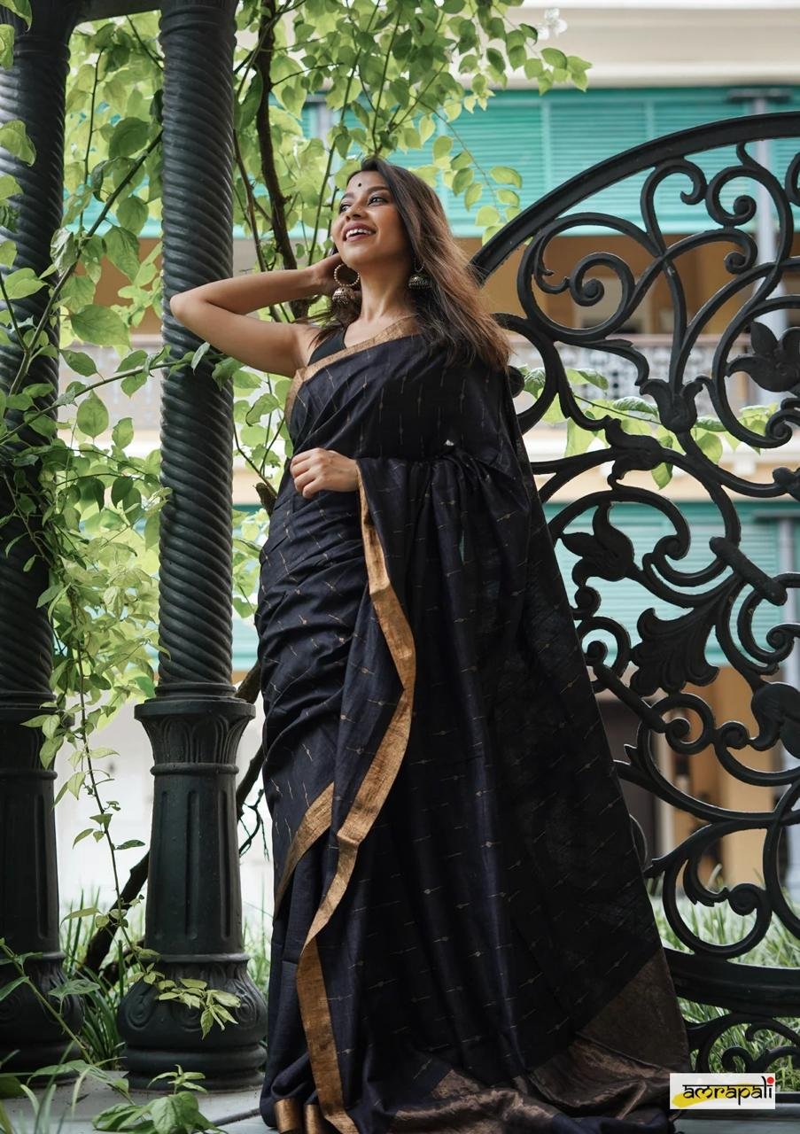 Midnight Grace Pinstripe Saree - Image 3