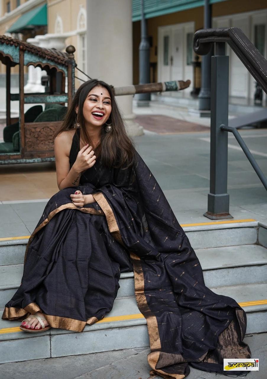Midnight Grace Pinstripe Saree - Image 4